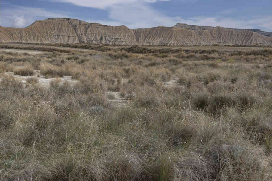 Comunidad Foral de Navarra 153 - Bardenas Reales de Navarra.jpg